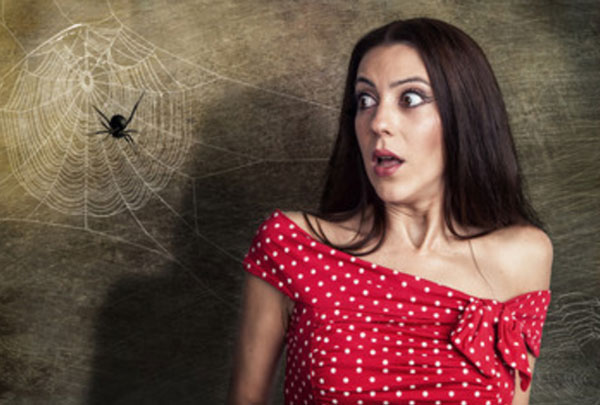 Женщина с ужасом смотрит на паука, сидящего на паутине