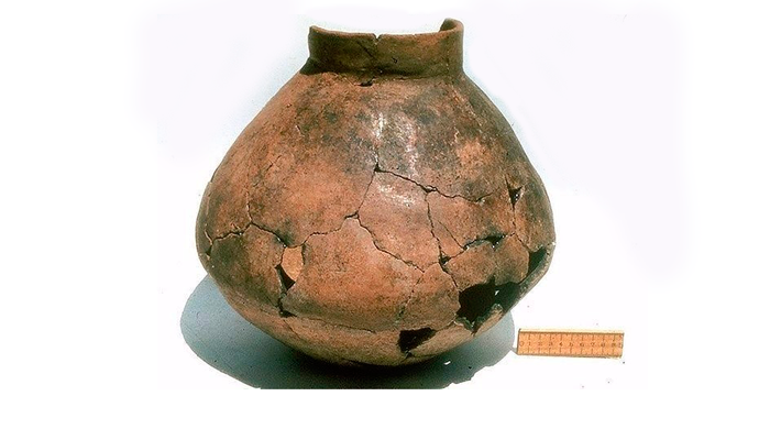 Кувшин из Хаджи-Фируз, как доказательство того что на территории Ирака был алкоголь 5000 лет до н.э.