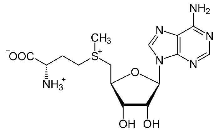 Адеметионин - структурная формула действующего вещества препарата Гептрал