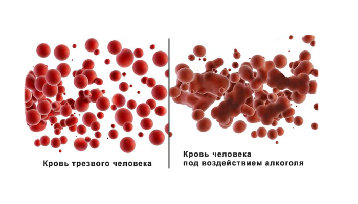 Сравнение крови нормального человека с кровью опьяненного