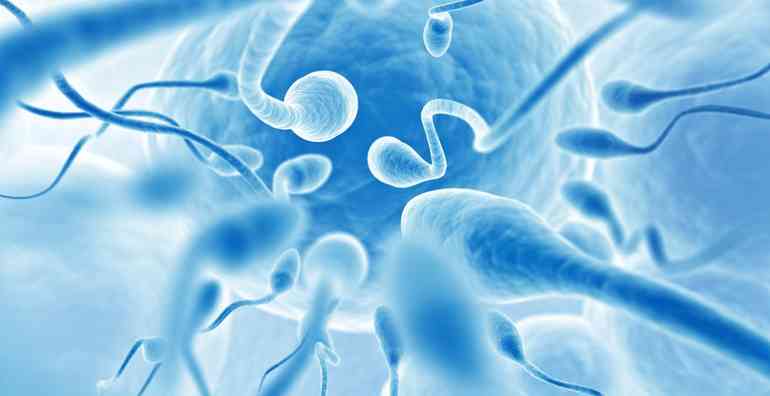 Жидкая сперма – норма или отклонение? Факторы, влияющие на ее консистенцию