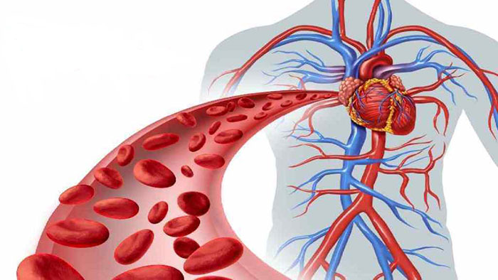 Трентал применяют при сердечно-сосудистых заболеваниях связанных с нарушение кровообращения