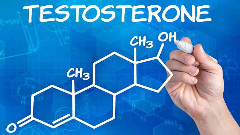 Анализ на тестостерон у мужчин: все, что нужно знать об этой процедуре!