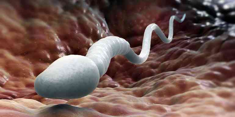 Уменьшение количества спермы: опасно ли это? Причины и диагностика