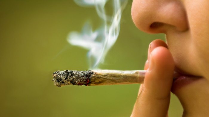курение марихуаны в чехии