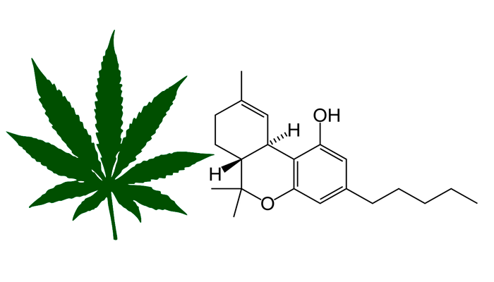 Состав веществ конопли как быстрее вывести из организма марихуану
